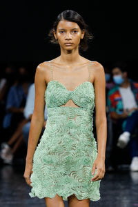 Embroidered Fitted Tulle Mini Dress
