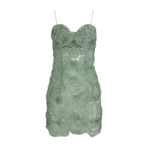 Embroidered Fitted Tulle Mini Dress